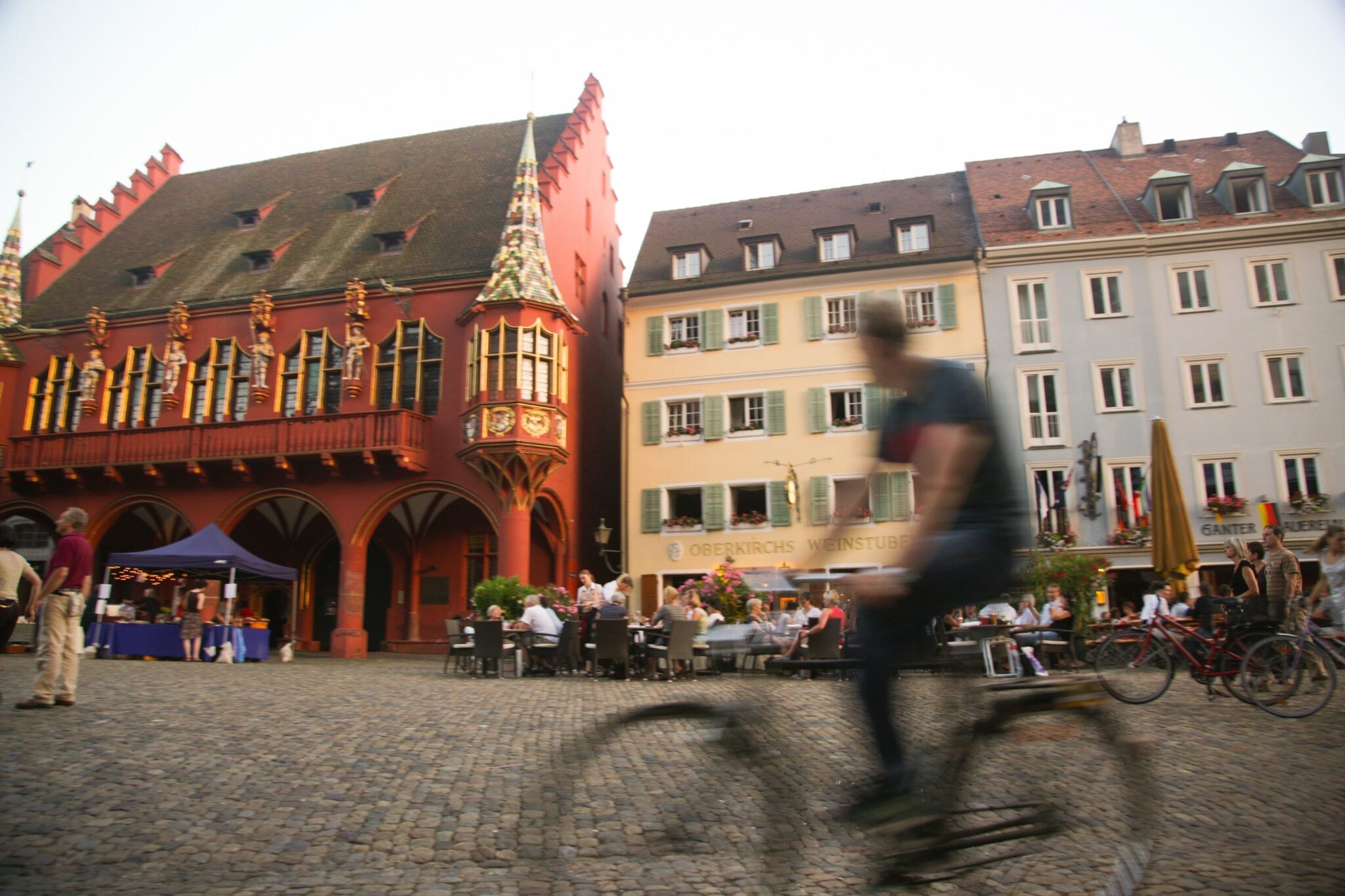 Erleben Sie Freiburg aktiv - von der Innenstadt hinaus in die Natur!