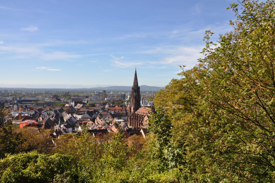 Blick vom Schlossberg auf die Innenstadt Freiburgs - Foto: Matthias Pohlmann